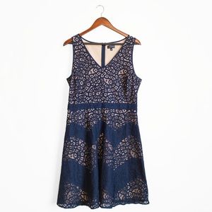 Limited: navy lacy overlay a-line dress